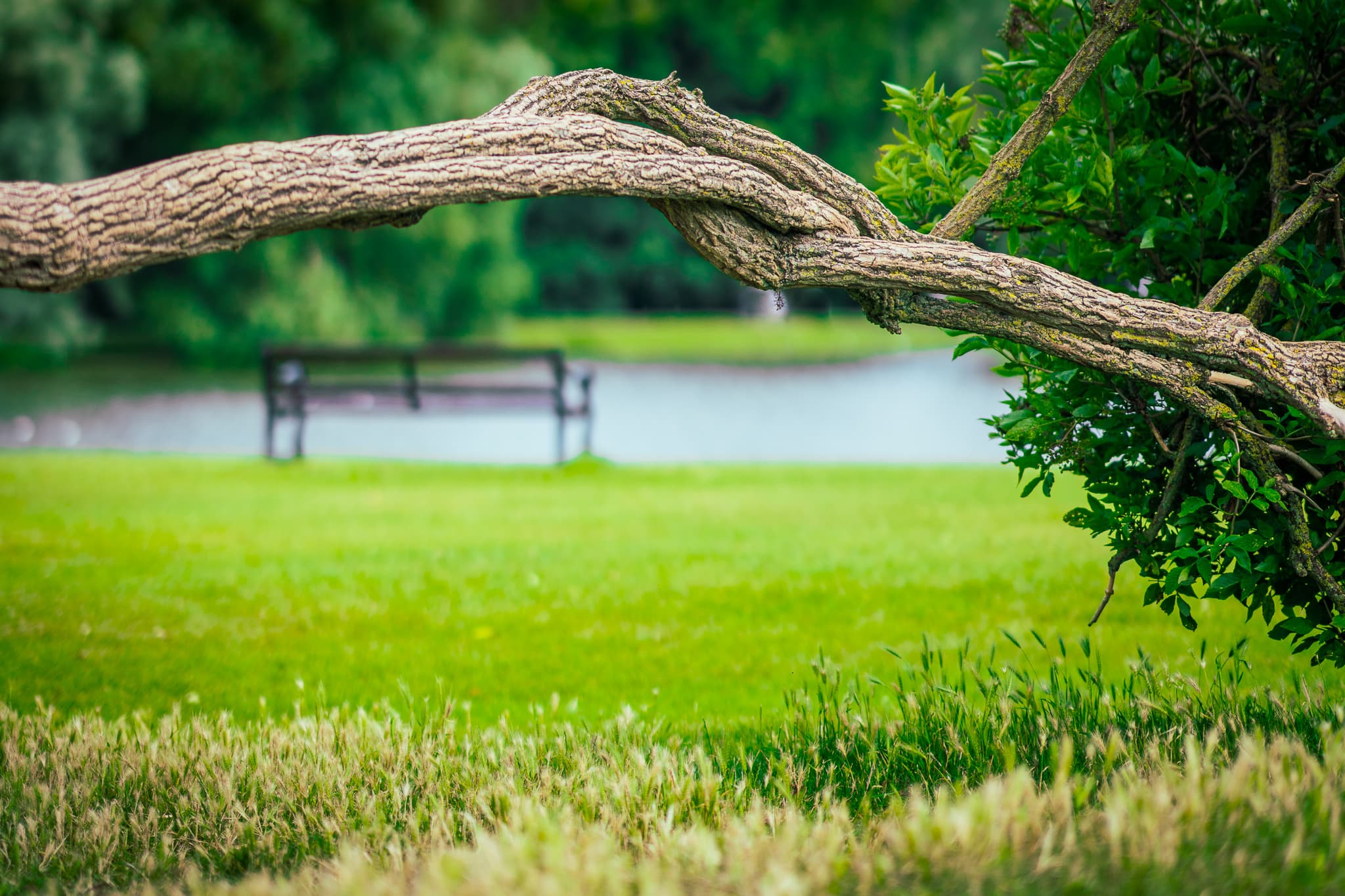 hero of "How to BDD and E2E test your responsive web app with Cypress"